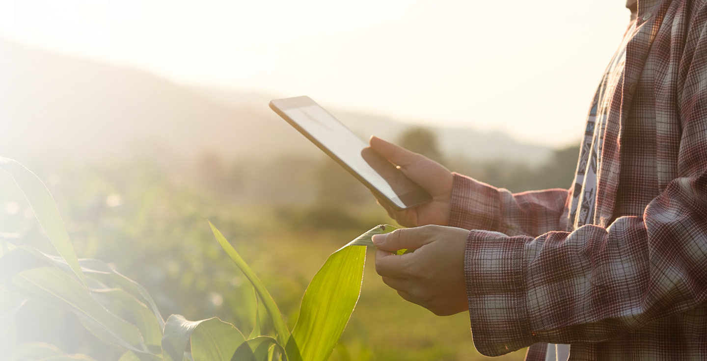Foto de um homem analisando dados em seu tablet em meio a uma planta��o.
