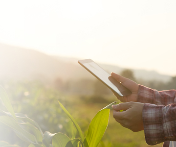 Foto de um homem analisando dados em seu tablet em meio a uma plantao.